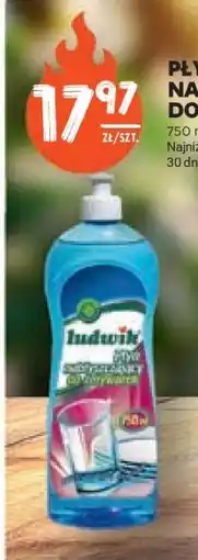 Stokrotka Market LUDWIK Płyn do mycia naczyń oferta