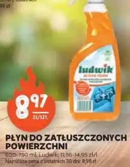 Stokrotka Market Płyn do Zatłuszczonych Powierzchni oferta