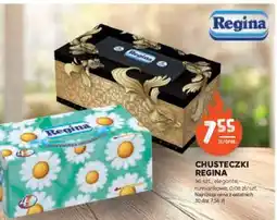Stokrotka Market Chusteczki Regina oferta