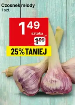 Delikatesy Centrum Czosnek młody 1 szt. Delikatesy Centrum oferta