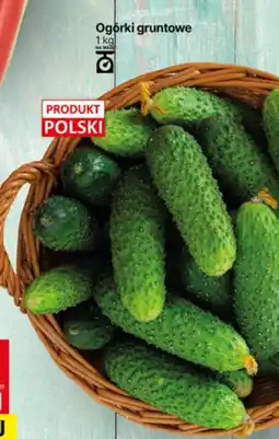 Delikatesy Centrum Ogórki gruntowe 1kg Delikatesy Centrum oferta
