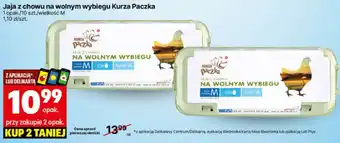 Delikatesy Centrum Jaja z chowu na wolnym wybiegu Kurza Paczka 10 szt oferta