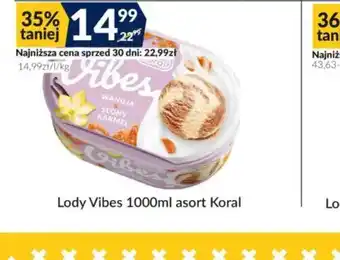 Sużyw Lody Vibes oferta