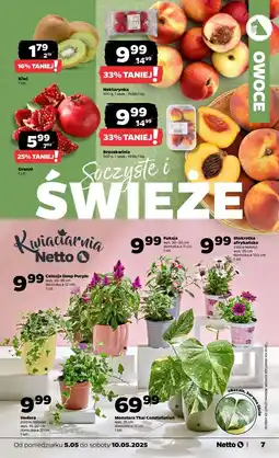 Netto Nektarynki oferta