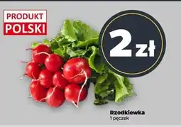 Netto Rzodkiewka oferta