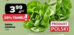Netto Sałata masłowa oferta