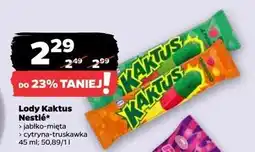 Netto Lody jabłkowo- miętowe Nestle Kaktus oferta