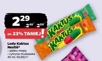 Netto Lody jabłkowo- miętowe Nestle Kaktus oferta