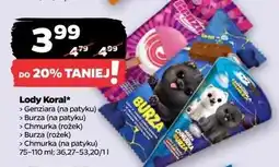Netto Lód chmurka Koral oferta