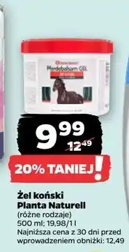 Netto Krem koński Planta Naturell oferta