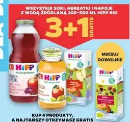 Netto Napój jabłka czerwone owoce Hipp Bio oferta