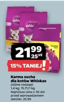 Netto Karma dla kota z kurczakiem Whiskas Junior oferta