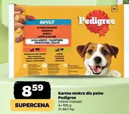 Netto Karma dla psa wybór smaków w galarecie Pedigree oferta