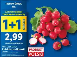 Lidl Rzodkiewka polska oferta