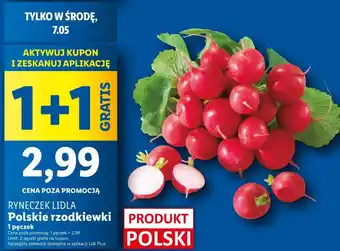 Lidl Rzodkiewka polska oferta