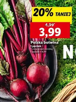 Lidl Botwina polska oferta