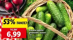 Lidl Ogórki gruntowe oferta