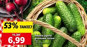 Lidl Ogórki gruntowe oferta