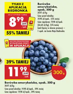 Biedronka Borówka amerykańska oferta
