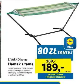 Lidl LIVARNO home Hamak z ramą oferta