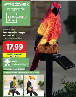 Lidl LIVARNO home Dekoracyjna lampa solarna LED oferta