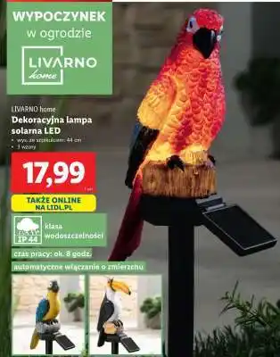 Lidl LIVARNO home Dekoracyjna lampa solarna LED oferta