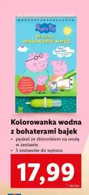 Lidl Kolorowanka wodna z bohaterami bajek oferta