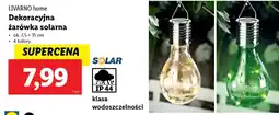 Lidl LIVARNO home Dekoracyjna żarówka solarna oferta