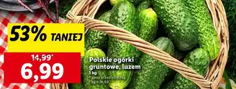 Lidl Polskie ogórki gruntowe, luzem oferta