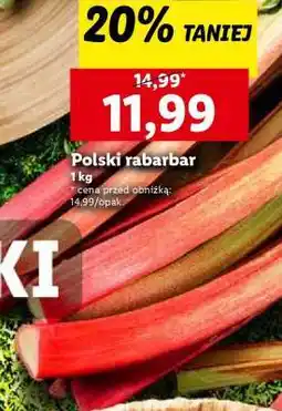 Lidl Polski rabarbar oferta