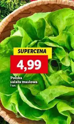 Lidl Polska sałata masłowa oferta
