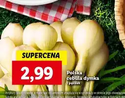 Lidl Polska cebula dymka oferta