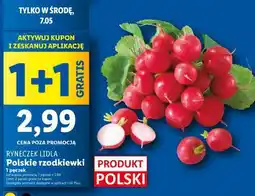 Lidl Ryneczek Lidla Polskie rzodkiewki oferta