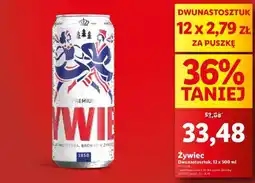 Lidl Żywiec oferta