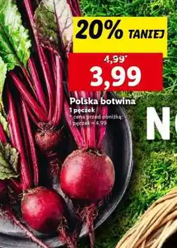 Lidl Polska botwina oferta