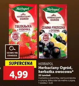 Lidl Herbapol Herbaciany Ogród, herbatka owocowa oferta