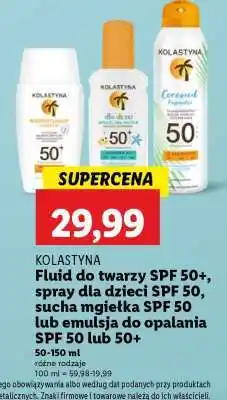 Lidl KOLASTYNA oferta