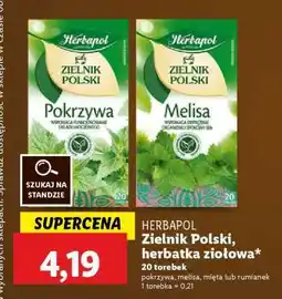 Lidl HERBAPOL Zielnik Polski, herbatka ziołowa oferta