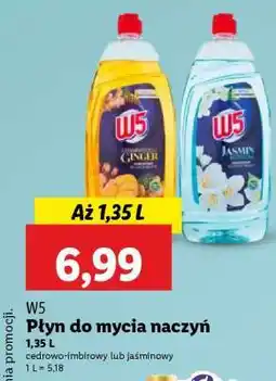 Lidl W5 Płyn do mycia naczyń oferta