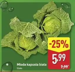 ALDI Młoda kapusta biała oferta