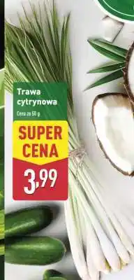 ALDI Trawa cytrynowa oferta