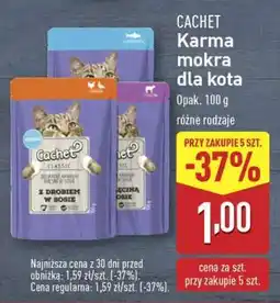 ALDI Cachet Karma mokra dla kota oferta