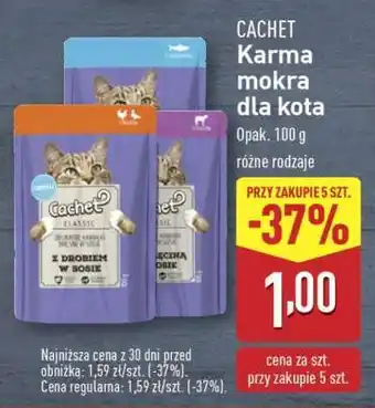 ALDI Cachet Karma mokra dla kota oferta