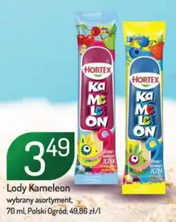 Avita Lody Kameleon oferta