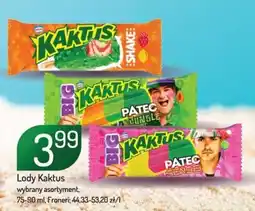 Avita Lody Kaktus Froneri oferta