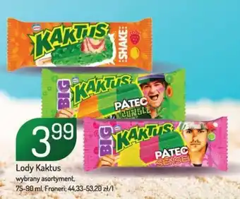 Avita Lody Kaktus Froneri oferta