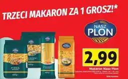 Avita Makaron Nasz Plon Delko oferta