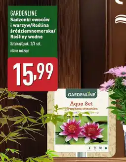 ALDI GARDENLINE Sadzonki owoców i warzyw/Roślina śródziemnomorska/ Rośliny wodne oferta