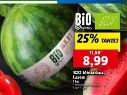 Lidl Arbuz mini bio oferta