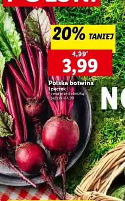 Lidl Botwinka polska oferta